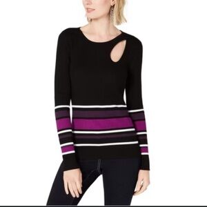 INC International Concepts Women's Black and Purple Striped Sweater
